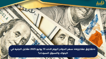 «حقائق مفاجئة» سعر الدولار اليوم الأحد 13 يوليو 2025 مقابل الجنيه في البنوك والسوق السوداء؟